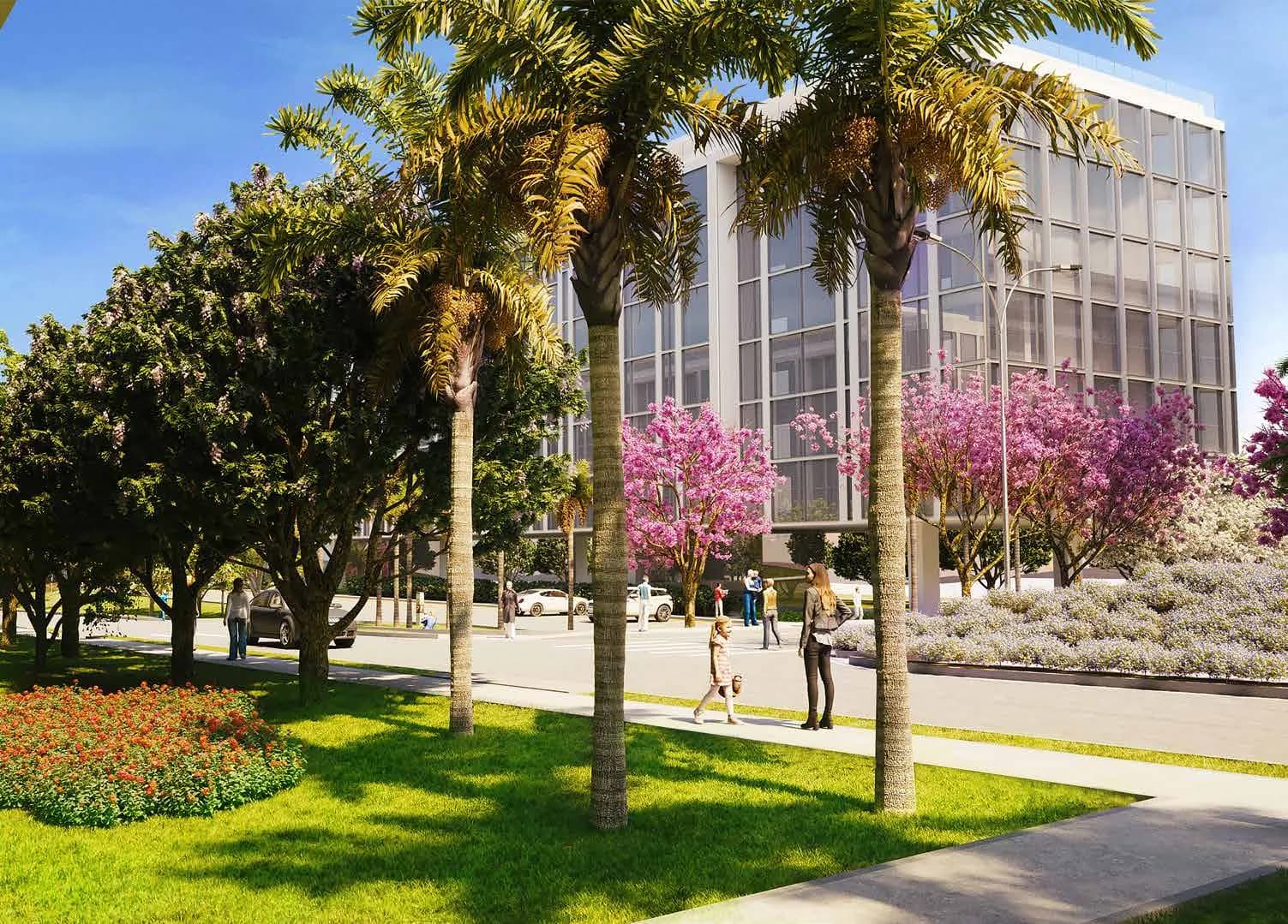 Canteiros e calçadas largas entre os edifícios