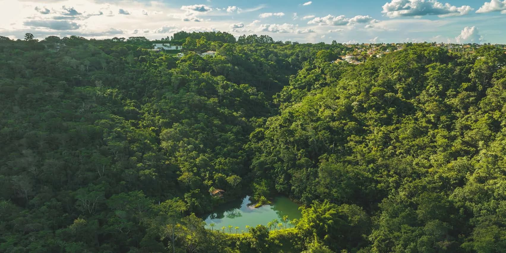 Lago cercado pela mata da reserva